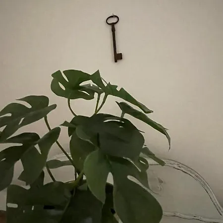 Dimora L'antico Bijou